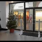 Immagine 2 azienda ALPS ITALIA Veicoli in Arluno MI