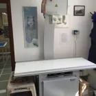 Immagine 1 azienda AMBULATORIO VETERINARIO BOI - ALBA Veterinario in Cagliari