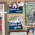 Immagine 7 azienda AMBULATORIO VETERINARIO BOI - ALBA Veterinario in Cagliari