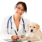 Immagine 2 azienda AMBULATORIO VETERINARIO CAMILLETTI DR. MIRCO Veterinario in Ancona