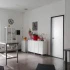 Immagine 4 azienda AMBULATORIO VETERINARIO DOTT, ANTONINO GRECO Veterinario in Bagheria PA