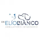 Immagine 1 azienda AMBULATORIO VETERINARIO DOTT. BIANCO ELIO Veterinario in Olgiate Comasco