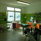 Immagine 1 azienda AMBULATORIO VETERINARIO DR. MARCELLO IOTTI Veterinario in Campogalliano MO
