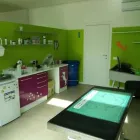 Immagine 2 azienda AMBULATORIO VETERINARIO DR. MARCELLO IOTTI Veterinario in Campogalliano MO