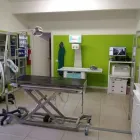 Immagine 4 azienda AMBULATORIO VETERINARIO DR. MARCELLO IOTTI Veterinario in Campogalliano MO