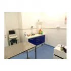 Immagine 1 azienda AMBULATORIO VETERINARIO MURA DEI FRANCESI Veterinario in Ciampino RM
