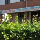 Immagine 1 azienda AMBULATORIO VETERINARIO MY PETS Veterinario in Nettuno RM