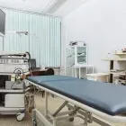 Immagine 1 azienda AMBULATORIO VETERINARIO ORAZIO Veterinario in Napoli