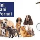Immagine 1 azienda AMBULATORIO VETERINARIO PIOMBINESE Veterinario in Piombino LI