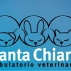 Immagine 1 azienda AMBULATORIO VETERINARIO SANTA CHIARA Veterinario in Palermo