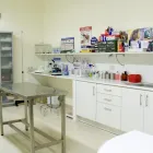 Immagine 2 azienda AMBULATORIO VETERINARIO SPONTINI Veterinario in Milano