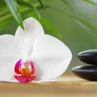 Immagine 1 azienda AMOHA' S.A.S. ANNAMARIA CIANCHETTI Servizi di bellezza in Vomero NA