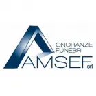Immagine 1 azienda AMSEF Servizi professionali in Ferrara