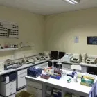 Immagine 6 azienda ANALISI CLINICHE DR. GIUSEPPE PATANE' E C. Salute in Catania
