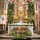 Immagine 2 azienda ANGOLO DEI FIORI Vivaio in San Giorgio A Cremano NA