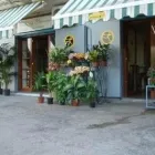 Immagine 4 azienda ANGOLO DEI FIORI Vivaio in San Giorgio A Cremano NA