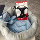 Immagine 1 azienda ANIMALI FANTASTICI BOUTIQUE Industrie e agricoltura in Taranto