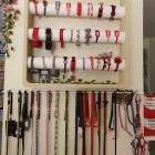 Immagine 6 azienda ANIMALI FANTASTICI BOUTIQUE Industrie e agricoltura in Taranto