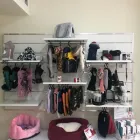 Immagine 7 azienda ANIMALI FANTASTICI BOUTIQUE Industrie e agricoltura in Taranto