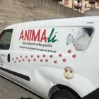 Immagine 1 azienda ANIMALI' Servizi professionali in Catania
