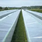 Immagine 1 azienda ANIPLAST - TELI E RETI PER L'AGRICOLTURA Shopping e acquisti in Noicattaro BA