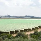 Immagine 2 azienda ANIPLAST - TELI E RETI PER L'AGRICOLTURA Shopping e acquisti in Noicattaro BA