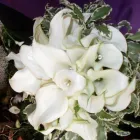 Immagine 2 azienda ANTICA FIORERIA JUNIOR | FIORAI NAPOLI - ADDOBBI FLOREALI - WEDDING PLANNER Wedding planner organizzazione matrimoni in San Giorgio A Cremano NA