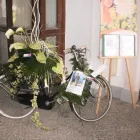 Immagine 5 azienda ANTICA FIORERIA JUNIOR | FIORAI NAPOLI - ADDOBBI FLOREALI - WEDDING PLANNER Wedding planner organizzazione matrimoni in San Giorgio A Cremano NA