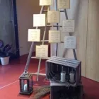 Immagine 4 azienda ANTICA FIORERIA RAPINI Shopping e acquisti in Ferrara
