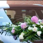 Immagine 8 azienda ANTICA FIORERIA RAPINI Shopping e acquisti in Ferrara