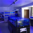 Immagine 5 azienda AQUARIUM LIFE Shopping e acquisti in Torino