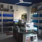 Immagine 8 azienda AQUARIUM LIFE Shopping e acquisti in Torino