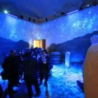 Immagine 13 azienda ARCHEMILIA S.A.S. DI BALDASSARRE GIARDINA & C. Viaggi e turismo in Bologna