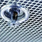 Immagine 1 azienda ARGINE ESTINTORI Shopping e acquisti in Fiumicino RM