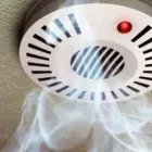 Immagine 3 azienda ARGINE ESTINTORI Shopping e acquisti in Fiumicino RM