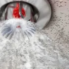 Immagine 5 azienda ARGINE ESTINTORI Shopping e acquisti in Fiumicino RM