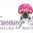 Immagine 2 azienda ARMONY PET BEAUTY & SPA Toelettatura di animali domestici in Torino