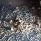 Immagine 11 azienda ARREL Shopping e acquisti in Filottrano AN