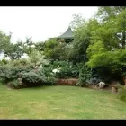 Immagine 1 azienda ARTE VERDE Vivaio in Nonantola MO