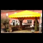 Immagine 2 azienda ARTE VERDE Vivaio in Nonantola MO