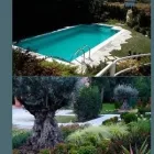 Immagine 4 azienda ARTE VERDE Vivaio in Nonantola MO