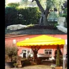 Immagine 5 azienda ARTE VERDE Vivaio in Nonantola MO