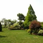 Immagine 7 azienda ARTE VERDE Vivaio in Nonantola MO