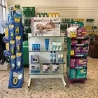 Immagine 3 azienda ARTOSAN ORTOPEDIA Shopping e acquisti in Pescara