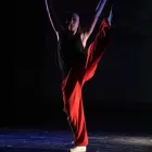 Immagine 7 azienda ASD - CENTRO RICERCA DANZA Sport e tempo libero in Torino