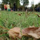Immagine 4 azienda ASILO NIDO L'ISOLA CHE NON C'È Scuola infanzia in Latina