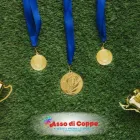 Immagine 7 azienda ASSO DI COPPE Trofei e distintivi in Taranto