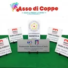 Immagine 10 azienda ASSO DI COPPE Trofei e distintivi in Taranto