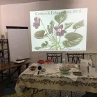 Immagine 3 azienda ASSOCIAZIONE ARCHEOSOFICA SEZIONE DI PESCARA Istruzione e formazione in Pescara