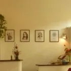 Immagine 1 azienda ASSOCIAZIONE CULTURALE SATPREM Ristorante in Torino